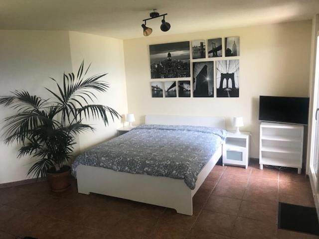 Der Alpen Apartment *