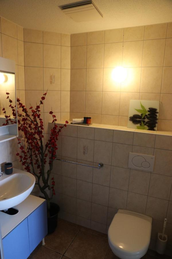 Apartment Der Alpen Thun
