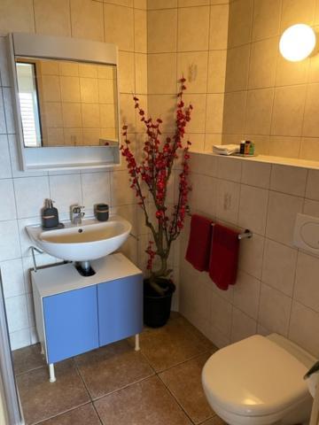 Apartment Der Alpen *